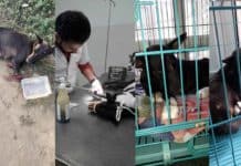 इक बूंद हूं मुझे ऐसी फितरत दे मेरे मालिक, कोई प्यासा दिखे तो दरिया हो जाऊं